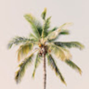 Meet your Posher, Rose